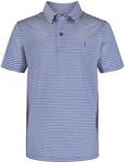 IZOD Boys' Performance Golf Grid Short Sleeve Stretch Collared Polo Shirt, Surf The Web Stripe, 8