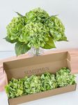 SUMTIPHUN 4Pcs Real Touch Green Hydrangeas Artificial Hydrangeas Flowers 21'' Real-Looking Faux Latex Hydrangea for Kitchen Living Room Porch Home Decor Baby Shower Party Table Centerpiece