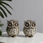 Lamcy Plaza Modern Classy Lucky Owl Resin Art Figure Showpiece | Silver | 2 Piece |