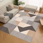 HOMFINE Washable Modern Area Rug - 