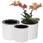 MUZHI Orchid Pot with Net and Holes, Round Self Watering Planter Pot for Indoor Plants and Flowers 3 Sets White