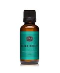 Ocean Breeze Fragrance Oil - Premium Grade Scented Oil - 30ml