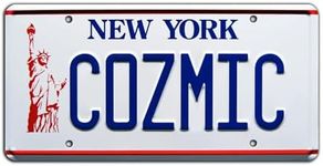 The Big Bang Theory | COZMIC | Metal Stamped License Plate