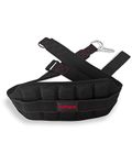 THEFITGUY Ultimate Belt for Belt Squats, Rack Attachment and Squat Machine, Structured Back Support, Stays Low During Down Movement, Padded Hip & Thigh Area, Buckle Strap - No Sliding Down, Heavy Duty