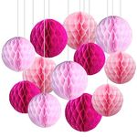 12pcs Pink Paper Honeycomb Balls,Hanging Tissue Pom poms for Party Decoration,6inch&10inch