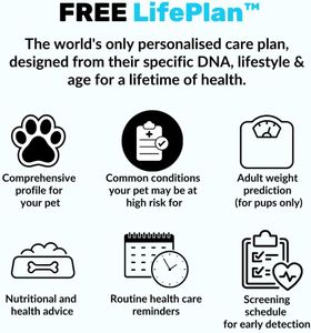 NutriPaw Dog DNA Test Kit – Breed & Health Screening