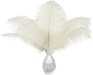 Ballinger Beige Ostrich Feathers Bulk - 12Pcs 12-14inch Large Boho Feathers for Vase,Wedding Party Centerpieces Home and Pampas Grass Decor(Beige)