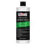 U.S. Art Supply Professional High Gloss Varnish, 16 oz (Pint) - Acrylic Medium, Clear Permanent Protective Finish for Paintings & Artwork, Apply Over Dry Acrylic Paint - Glossy Shine, UV Protection