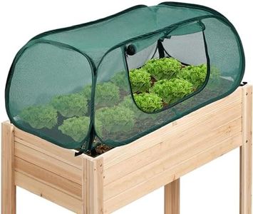Raised Bed
