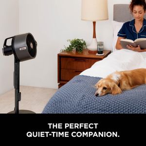 Shark FlexBreeze Pro Cordless Indoor & Outdoor Fan – Misting, 20m Reach, 24hr Runtime, Pedestal/Table, 5 Speeds, Remote, Charcoal Grey