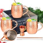 Moscow Mule Copper Mugs Moscow Mule Cups Kit 19oz Set of 4 with Handle Large Copper Hammered Plating Cups with 0.5oz Double Jigger, Stainless Steel Straws for Cold Drinks Cocktails Wine