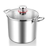 HaWare Large Stock Pot, 10L 25.5cm Tri-Ply Stainless Steel Soup Pot with Visible Lid for Pasta/Meat, Metal Cooking Induction Pot, Suit for All Kitchen Stove Top, Healthy & Non Toxic, Easy Clean