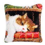 Latch Hook Kits Cat DIY Pillow Case Latchkits Sofa Cushion Cover for Kids/Adults 17" x 17"(Cat-268)