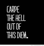 CCI137 - Carpe The Hell Out of This Diem Decal | for car, wall, computer, laptop etc.| 5.75 X 3.75 IT