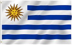 SHATCHI Uruguay Large 5x3Ft Nationa
