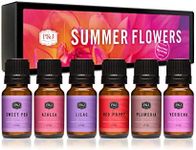 P&J Trading Fragrance Oil | Summer 