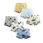 LeQeZe Boys Underwear,Boys Pants Boxers 6 Pack Kids Toddler Cotton Underpants 2-9 Years (Boys Dinosaur Mix 1, 2-3years)