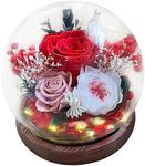 Leayiuvan Preserved Flowers Glass Dome LED - Eternal Rose That Last Over 1 Year Gift for Wife Girlfriend Daughter Valentines Day Mothers Day Anniversary Day Birthday Christmas (Red)