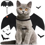 Vivifying Cat Bat Wings, Cat Hallow