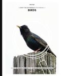 A Spot the Difference Photobook of Birds