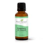 Plant Therapy Rosemary Essential Oil | 100% Pure, Undiluted, Natural Aromatherapy, Therapeutic Grade | 30 mL (1 oz)