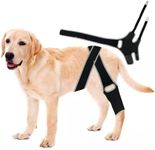 Dog ACL Knee Brace, Dog Braces for Back Leg for Support, Dog Knee Brace for Torn ACL Hind Leg & Front Leg, Dog Hip Support Brace for Joint Pain Muscle Sore, Hip Dysplasia, Luxating Patella (Large)
