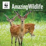 WWF Amazing Wildlife Wall Calendar 2025 (PFP)