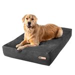 Armarkat Orthopedic Dog Beds