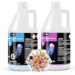 LET'S RESIN Epoxy Resin Kit,1 Gallon (3.78 L) 128oz Bubble Free & Crystal Clear Epoxy Resin, Table Top Epoxy Resin for Casting, DIY, Resin Art,Molds,Jewelry