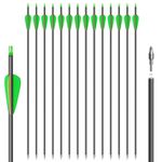 NorthSpoor 31" Carbon Archery Arrows Practice Hunting Arrows with Removable Tips Shaft Spine 500 with Both Compound Bow and Recurve Bow (Pack of 14)