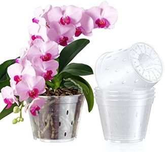 Orchid Pot