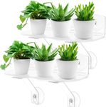 12 Inch 2 Pack Plant Window Boxes S