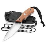 Inexpensive Neck Knife