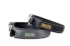 Mighty Paw Neoprene Padded Dog Collar - Premium Dog Collar with Night Visibility Stitching - Light-Weight Design Features - Weather Resistant - Dog Lights Clip - Extra Comfort for Active Dogs - Medium