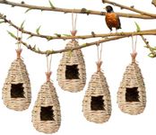 Humming Bird Houses for Outside Han