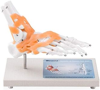 Ultrassist Human Foot Joint Model with Ligaments, Flexible 1:1 Scientific Life Size with 360° Rotatable Wooden Display Base, Includes Anatomy Diagram Best for Medical Teaching Aid & Training