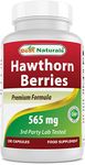 Best Naturals Hawthorn Berry 565 mg 180 Capsules (180 Count (Pack of 1))