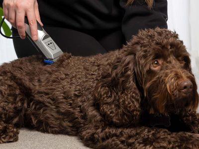 MASTERCLIP A5 Dog Clipper with Size 10 Blade – Professional Grooming