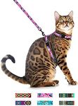 CollarDirect Adjustable Cat Harness