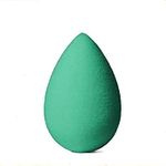 Bingeable Makeup Beauty Powder Puff Washable Sponge (Pack of 1) (Colors/Design May Vary) (1)