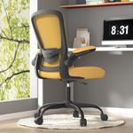 Office Chair, Ergonomic Desk Chair with Adjustable Lumbar Support & Seat Height, High Back Mesh Computer Chair with Flip-up Armrests Task Chairs (Modern, Gold)