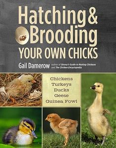 Hatching &