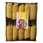 Rosewood Boredom Breaker Sun-Ripened Corn, Rabbit Treats & Small Animal Treats, Pack of 10