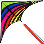 Mint's Colorful Life Delta Kite for