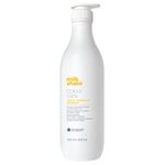 milk_shake Color Care Shampoo for Color Treated Hair – Hydrating and Protecting Color Maintainer Shampoo, 33.8 Fl Oz