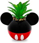 Disney Mickey Mouse 3-Inch Ceramic Mini Planter with Artificial Succulent | Small Flower Pot, Faux Indoor Plants for Desk Shelf, Home Decor Trinket Tray and Collectibles