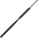 PENN Carnage III Boat Conventional Fishing Rod,Silver/Black/Gold