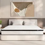 MOLBIUS Queen Mattress 12 Inch | Hy