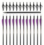 32" Adult Hunting/Targeting Practice Carbon Arrows 350 Spine with 3" Plastic Vanes Feathers & 100 Grain Broadhead 12pk