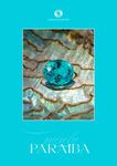 Purely Paraiba - A book about the rare gemstone Paraiba Tourmaline by the gem and jewellery designer Doris Hangartner.